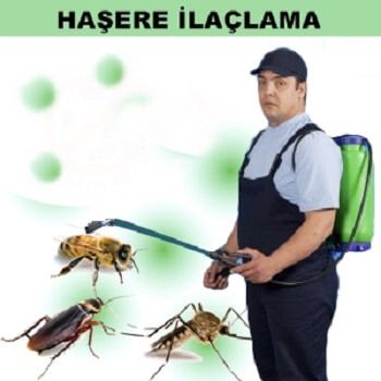 Of Böcek İlaçlama
